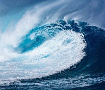 Volatile Wave
